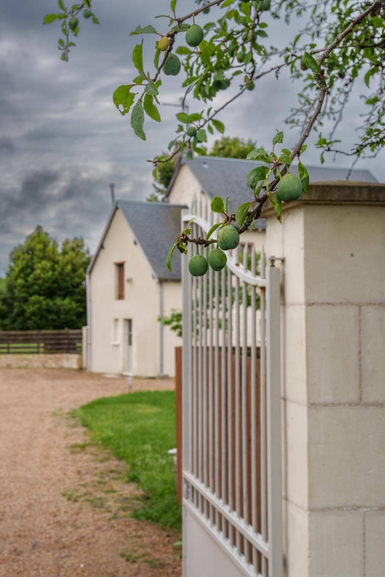 Maison Campagne Proche Tours Et Loches 6 Personnes Saint-Branchs Exterior photo