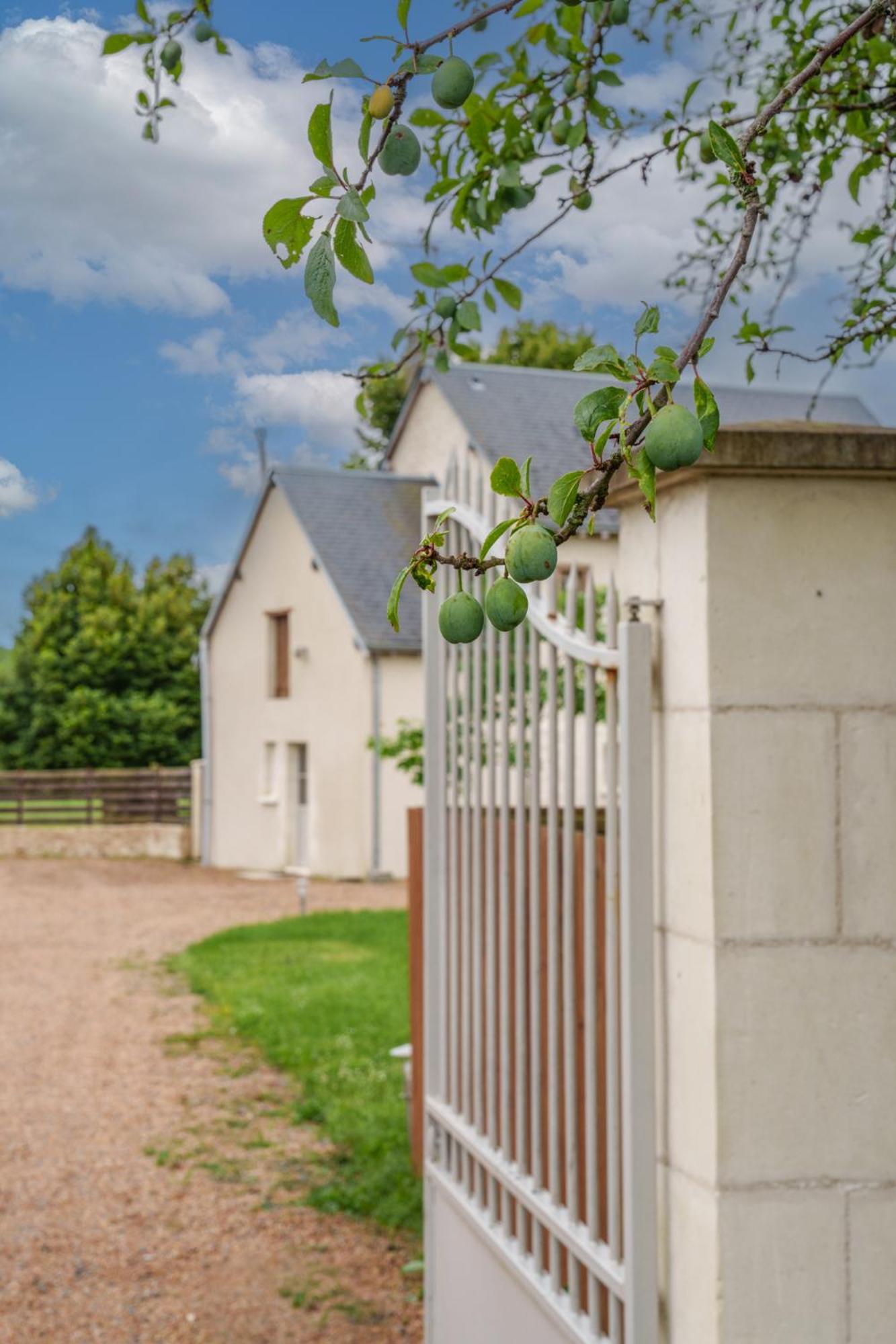 Maison Campagne Proche Tours Et Loches 6 Personnes Saint-Branchs Exterior photo